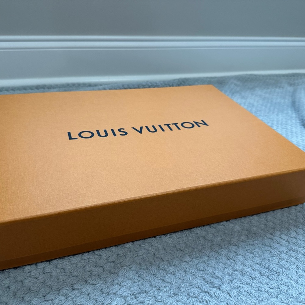 Louis Vuitton Orange Box with Purse Dust Bag